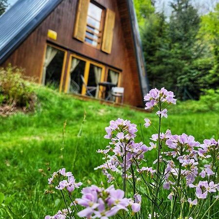 Chata Pod Tolstejnem Villa Jiřetín pod Jedlovou Esterno foto