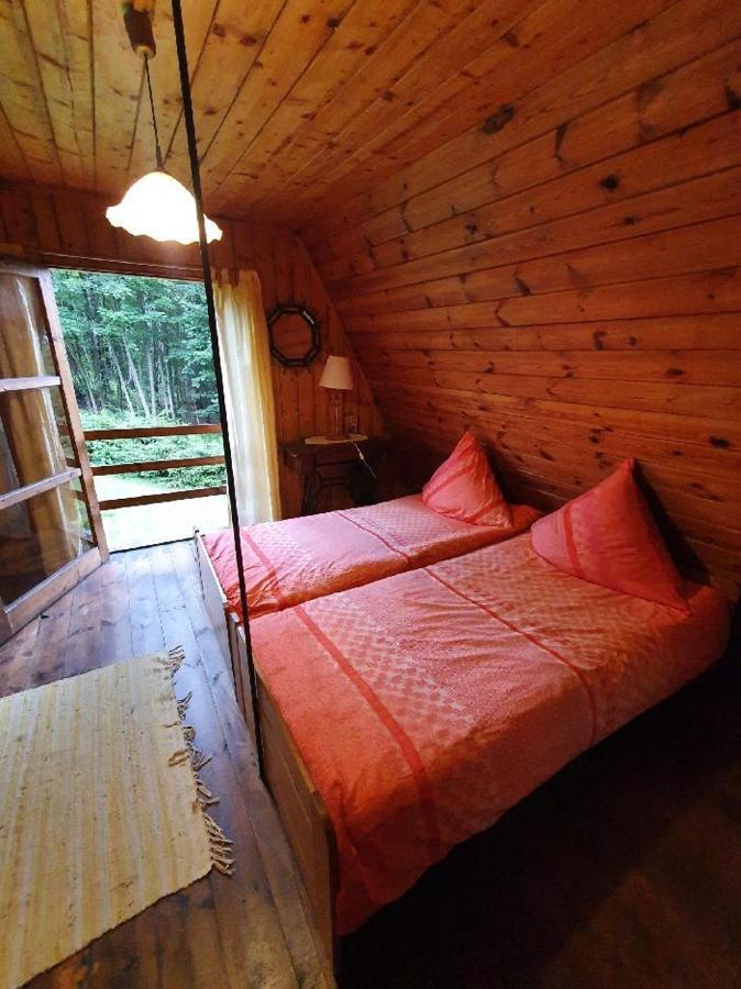 Chata Pod Tolstejnem Villa Jiřetín pod Jedlovou Esterno foto
