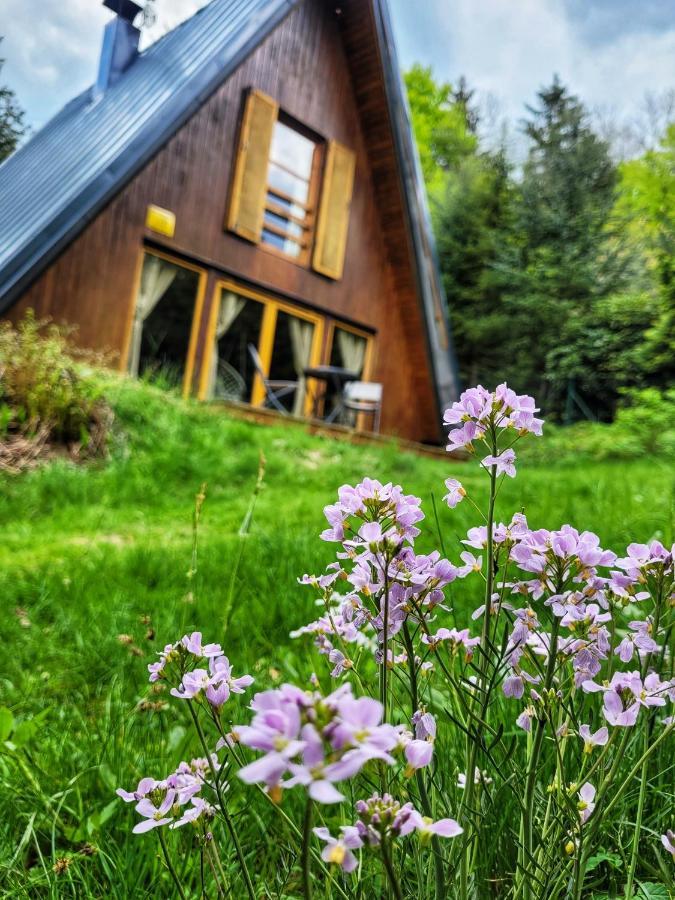 Chata Pod Tolstejnem Villa Jiřetín pod Jedlovou Esterno foto