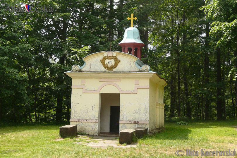 Chata Pod Tolstejnem Villa Jiřetín pod Jedlovou Esterno foto